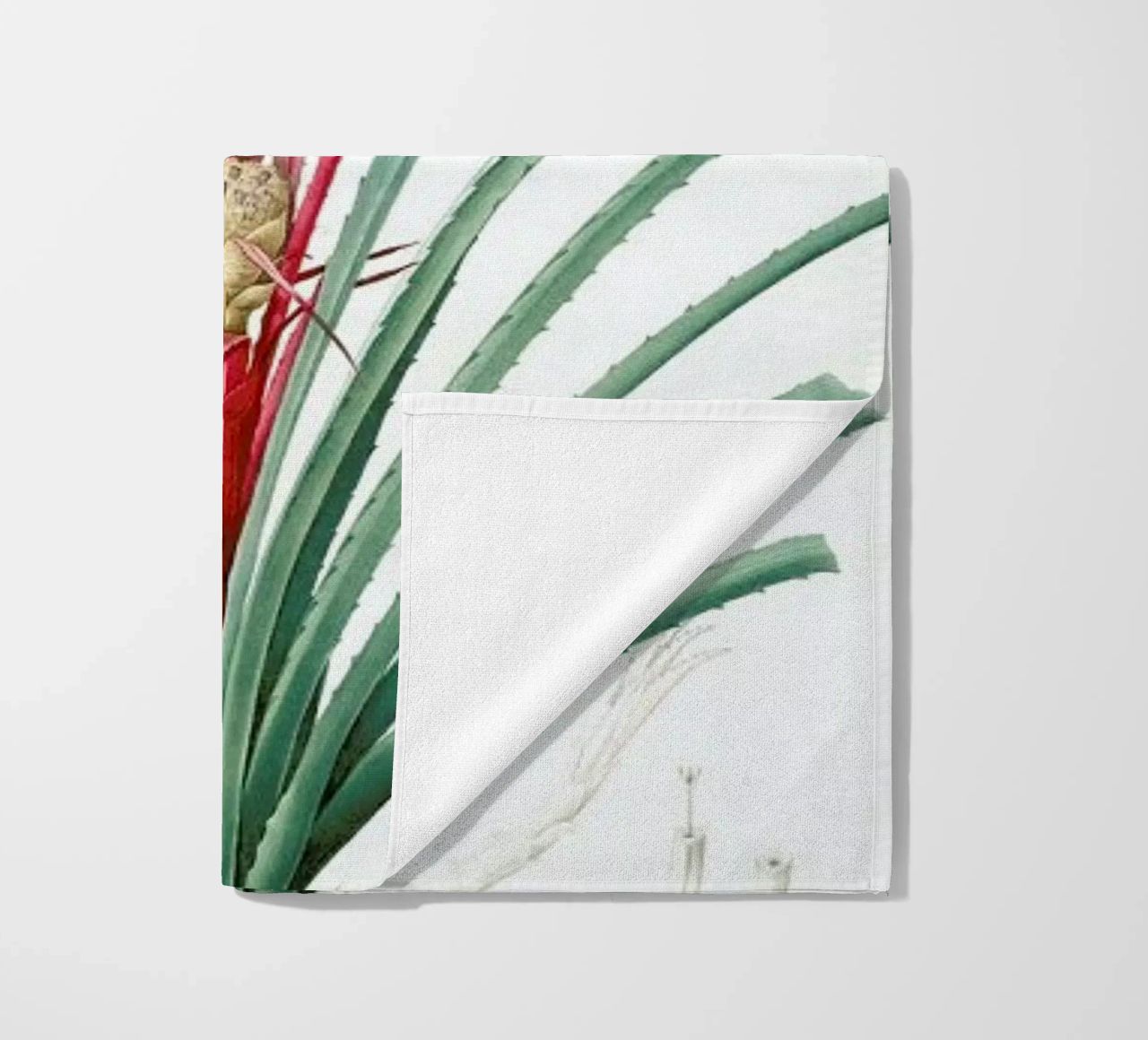 Bromella Karatas, Karatas Plumieri, Ananas karatas -Pierre Joseph telo mare da Artokoloro Quint Lox Ltd