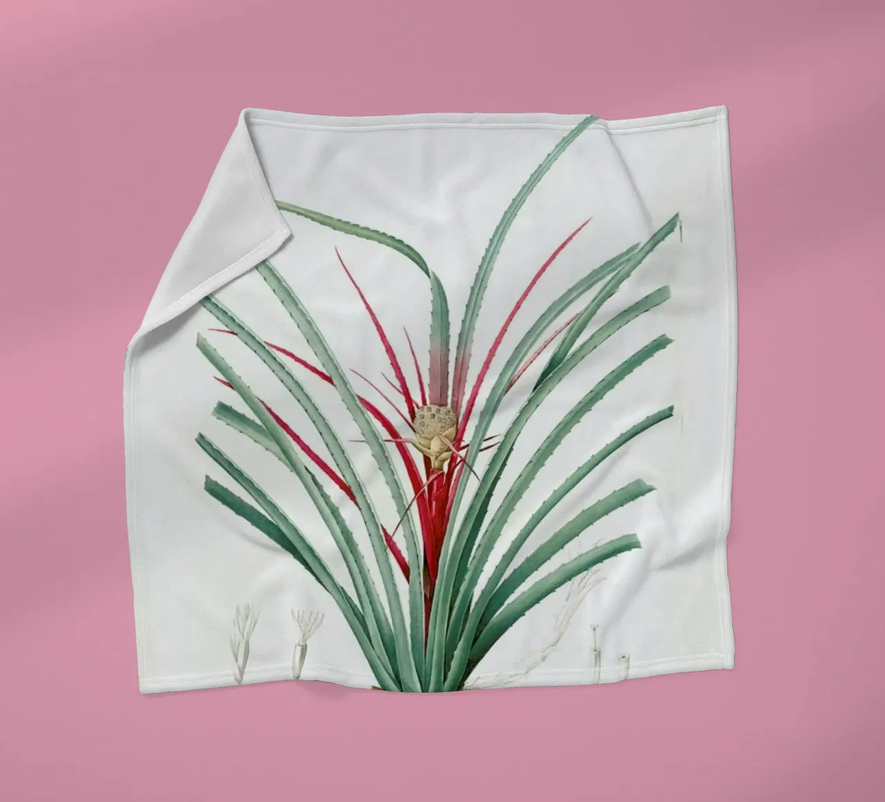 Bromella Karatas, Karatas Plumieri, Ananas karatas -Pierre Joseph coperta in pile da Artokoloro Quint Lox Ltd