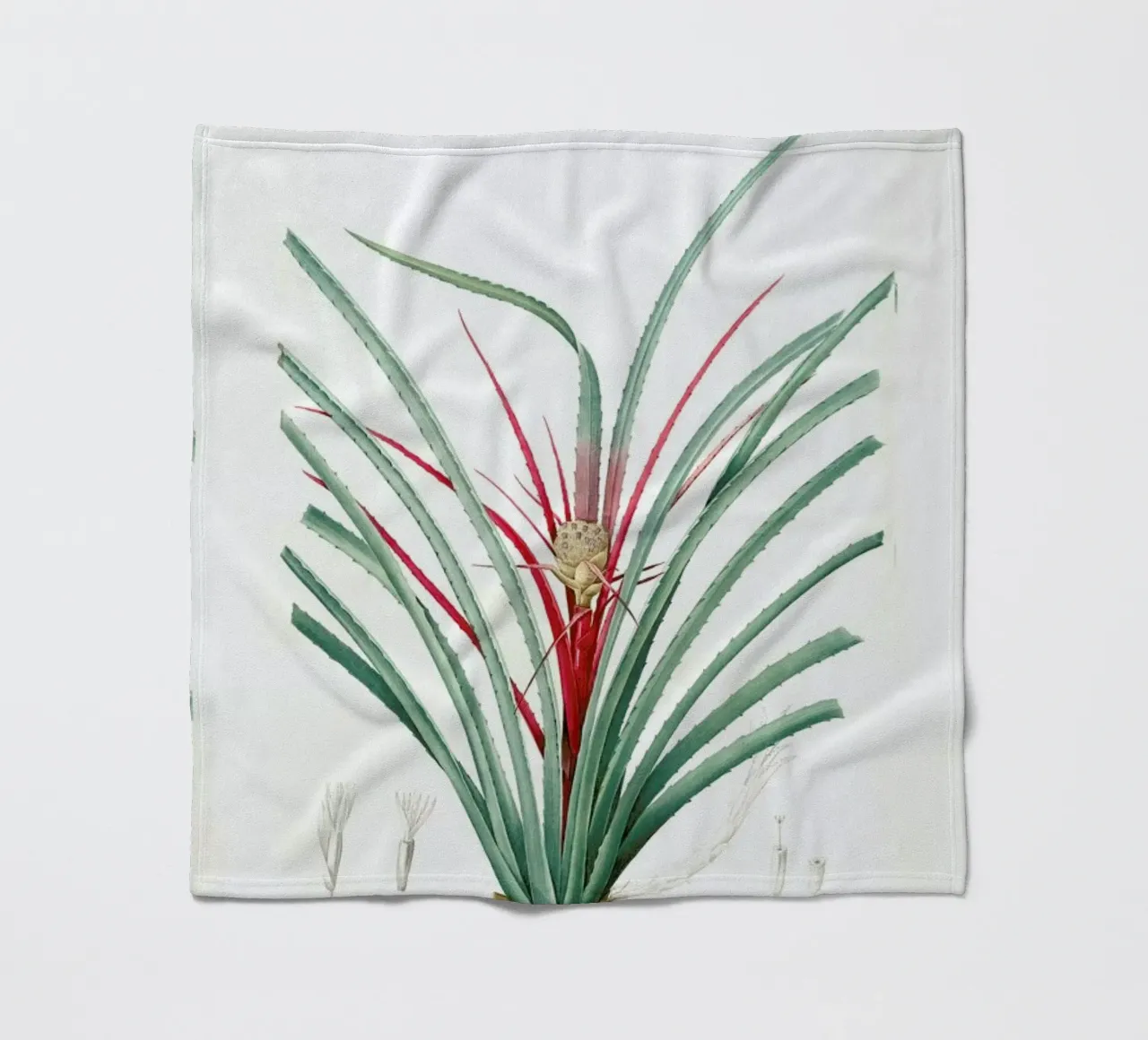 Bromella Karatas, Karatas Plumieri, Ananas karatas -Pierre Joseph coperta in pile da Artokoloro Quint Lox Ltd
