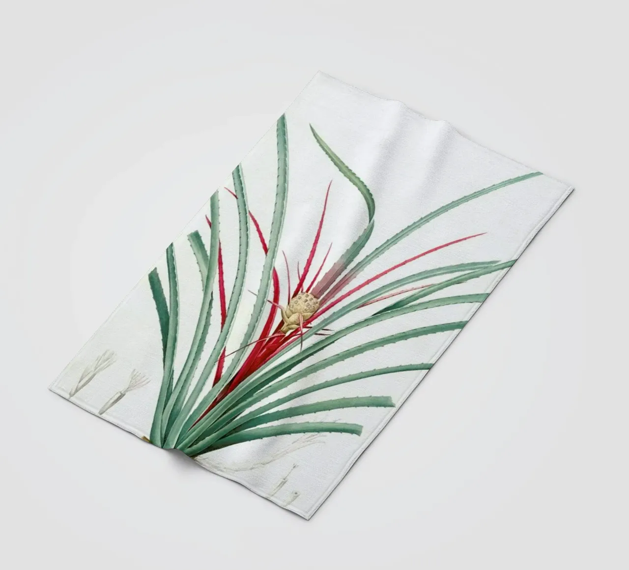 Bromella Karatas, Karatas Plumieri, Ananas karatas -Pierre Joseph coperta in pile da Artokoloro Quint Lox Ltd