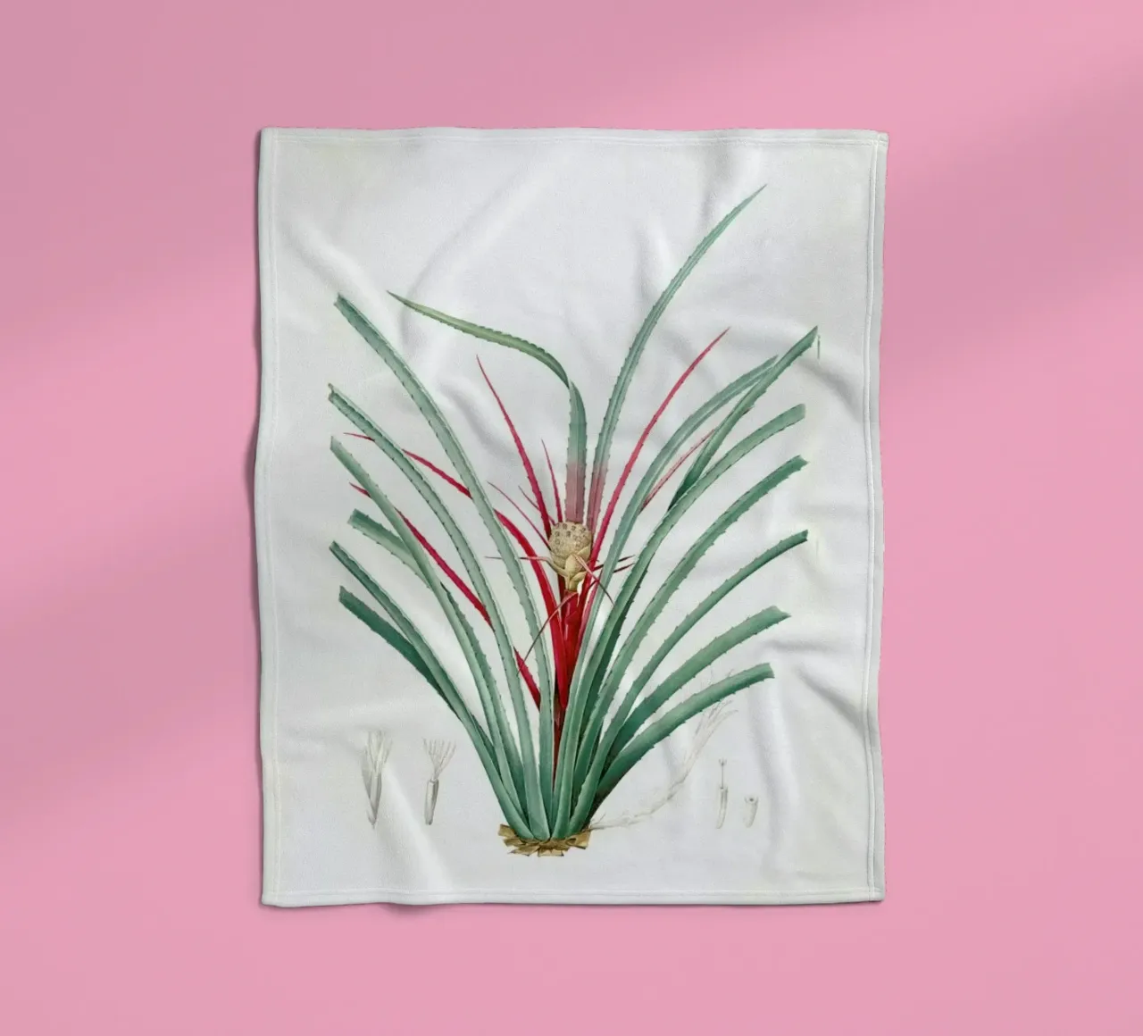 Bromella Karatas, Karatas Plumieri, Ananas karatas -Pierre Joseph coperta in pile da Artokoloro Quint Lox Ltd