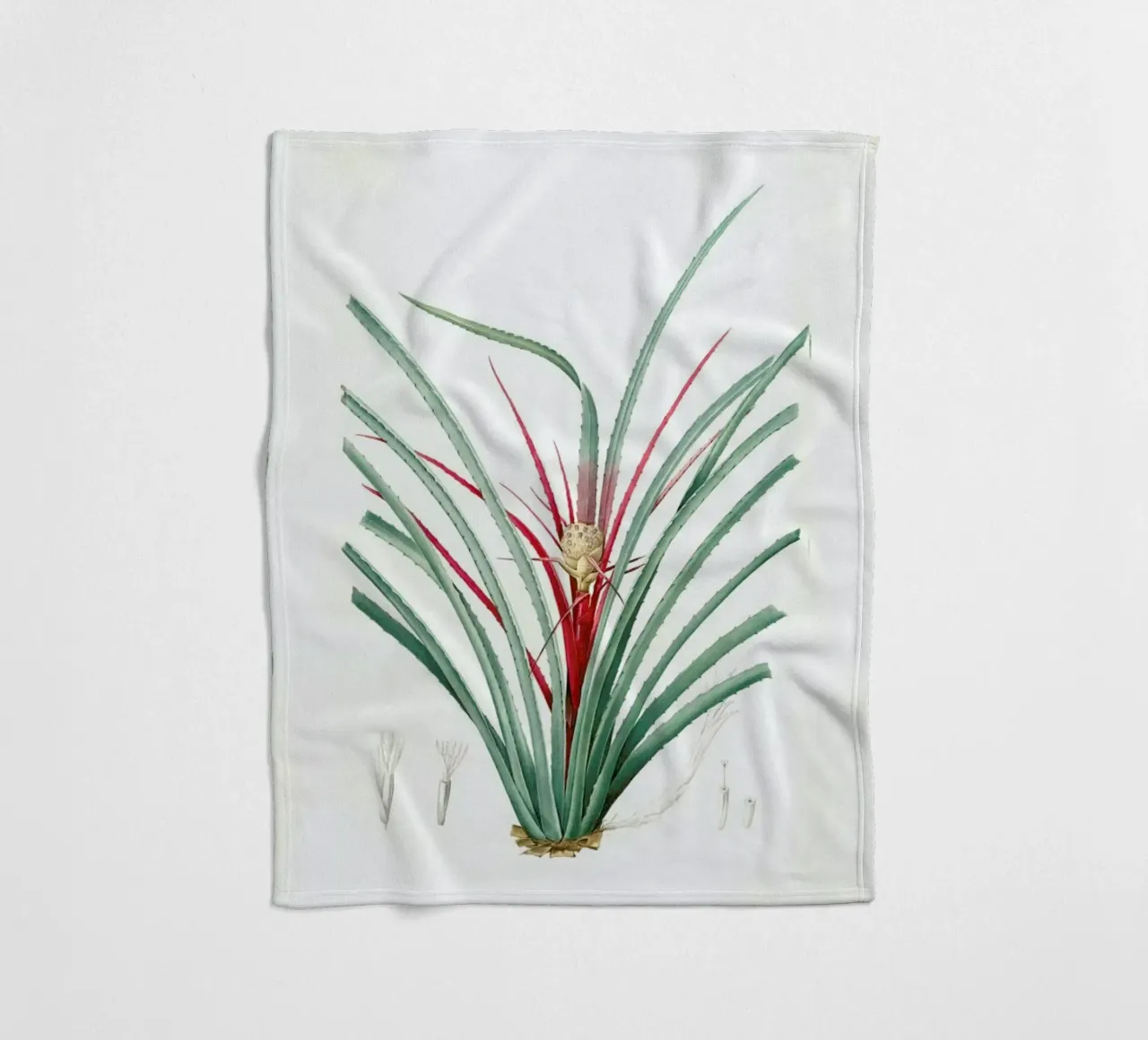 Bromella Karatas, Karatas Plumieri, Ananas karatas -Pierre Joseph coperta in pile da Artokoloro Quint Lox Ltd