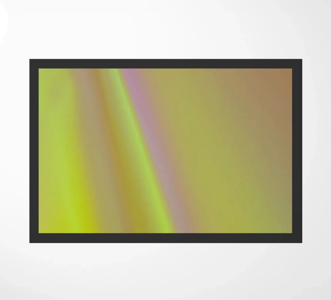 Rhea zerbino da Elena Veronese