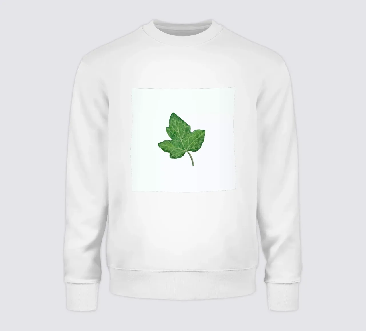 Ivy sweatshirt by Maria Vdovichenko