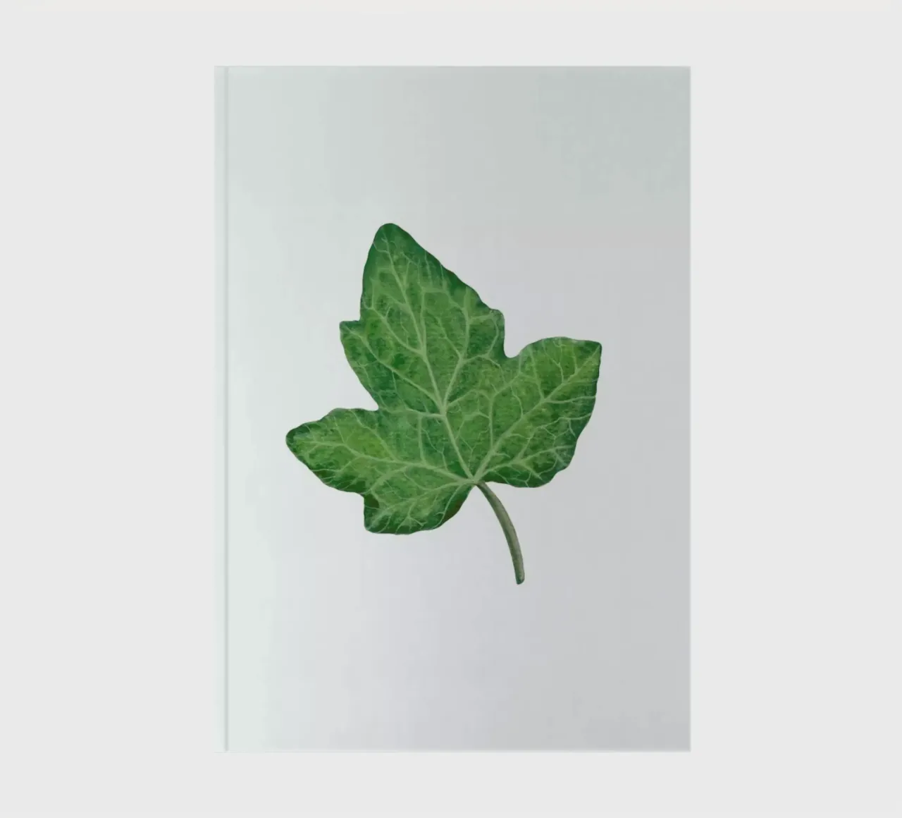 Ivy notebook by Maria Vdovichenko
