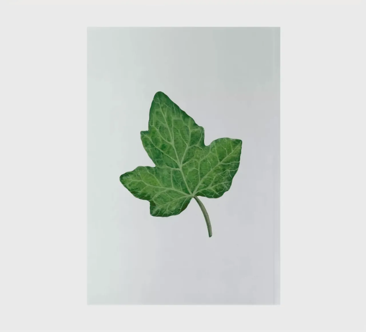 Ivy notebook by Maria Vdovichenko