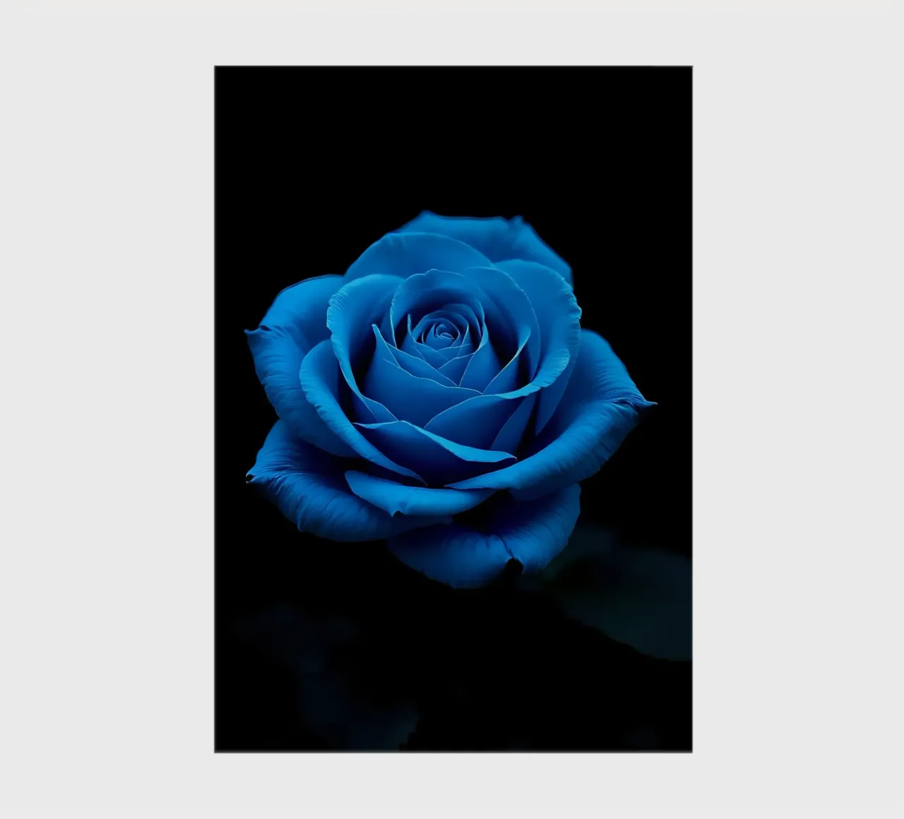 Rose_blue_04 notebook by Farb- und Blütenzauber by LK