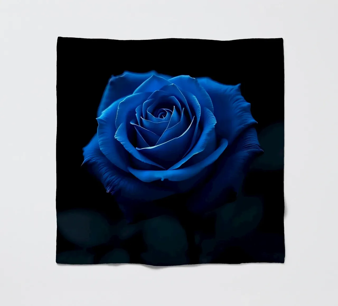 Rosa_blu_05 coperta in pile da Farb- und Blütenzauber by LK