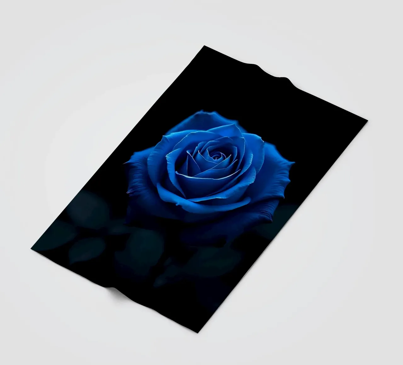 Rosa_blu_05 coperta in pile da Farb- und Blütenzauber by LK