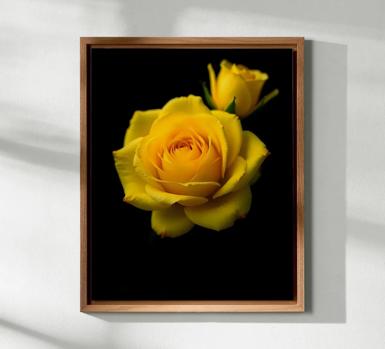 Rosa_gialla_01 alluminio dibond da Farb- und Blütenzauber by LK