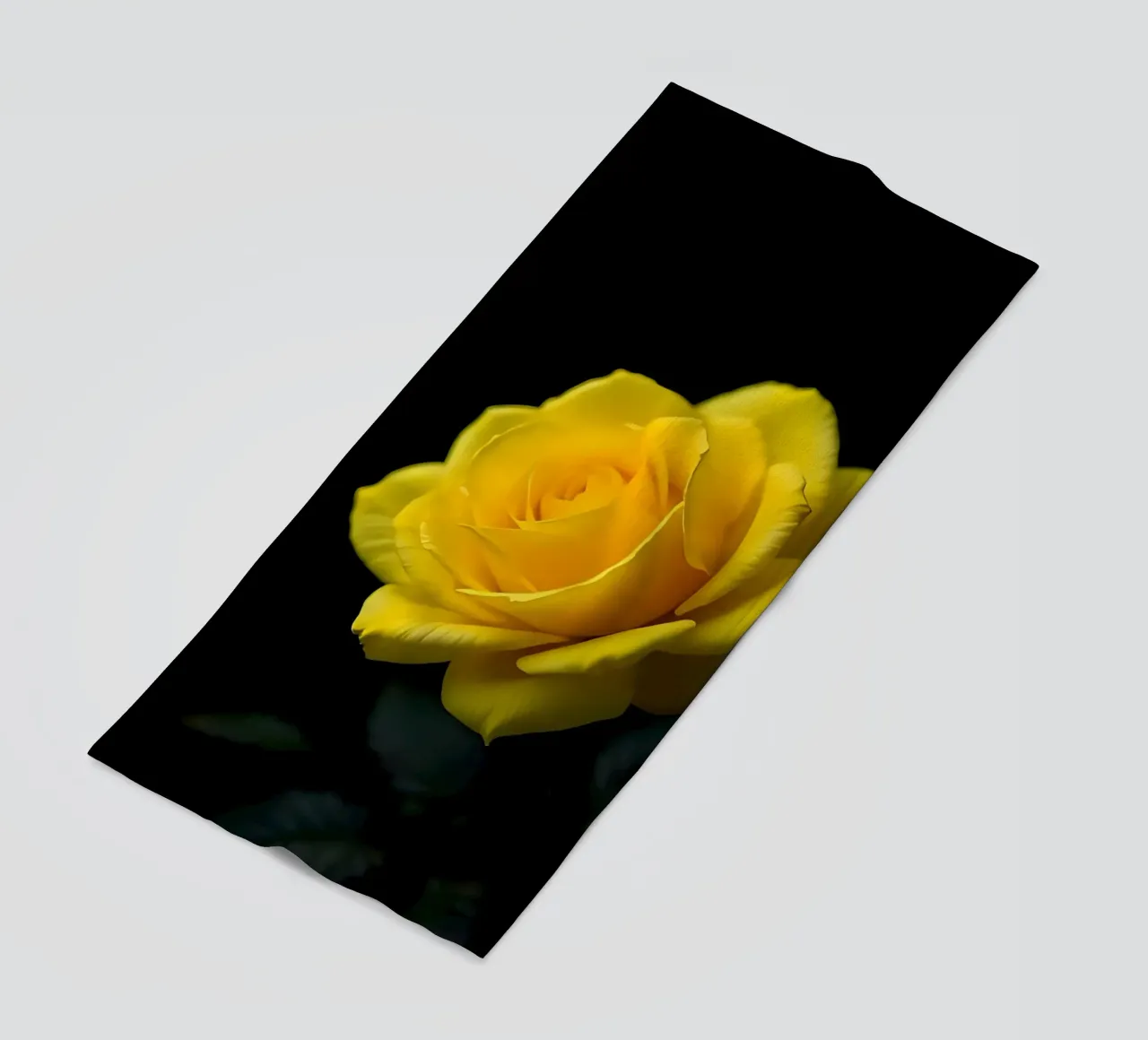 Rosa_gialla_02 telo mare da Farb- und Blütenzauber by LK