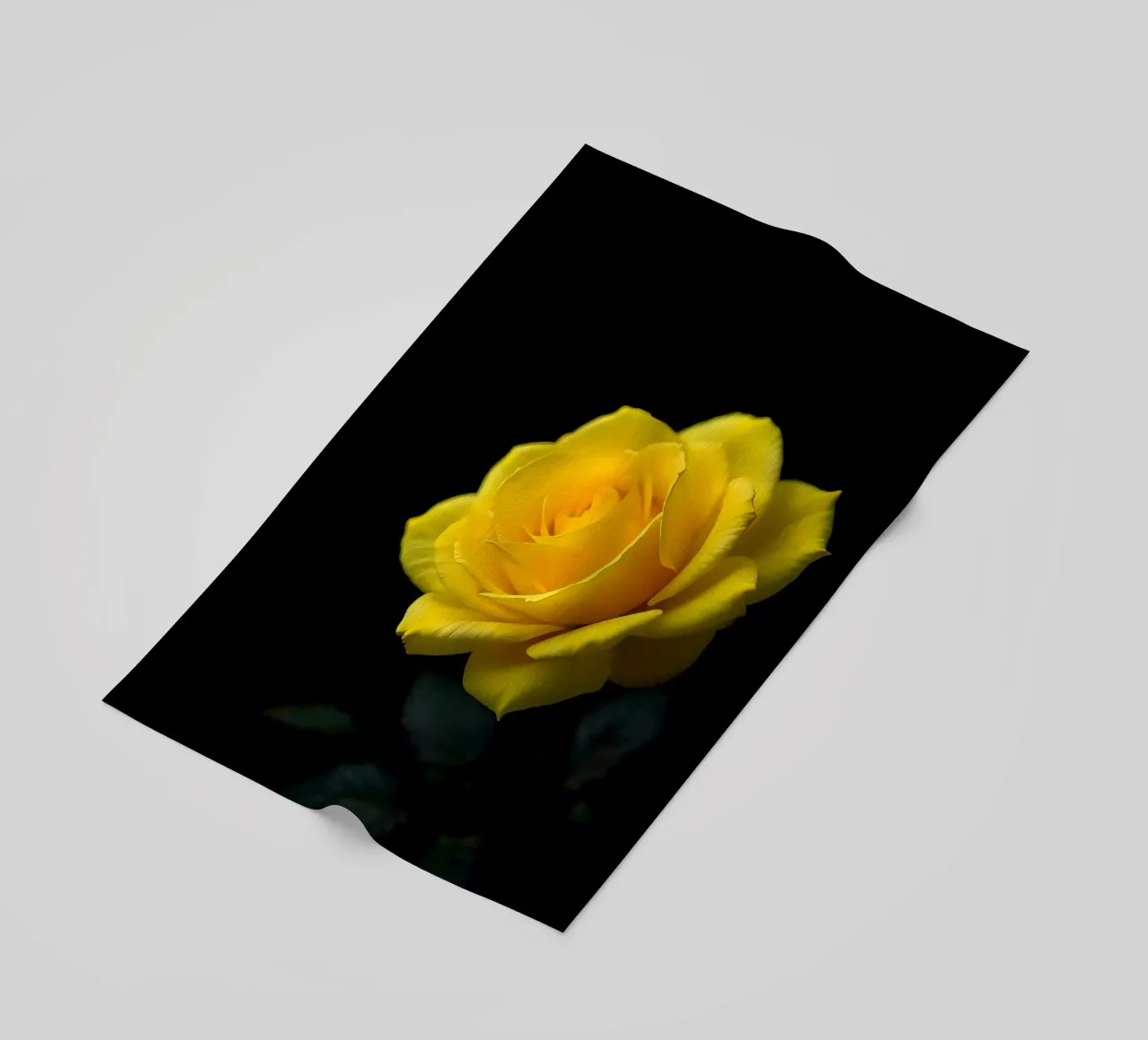 Rosa_gialla_02 telo mare da Farb- und Blütenzauber by LK