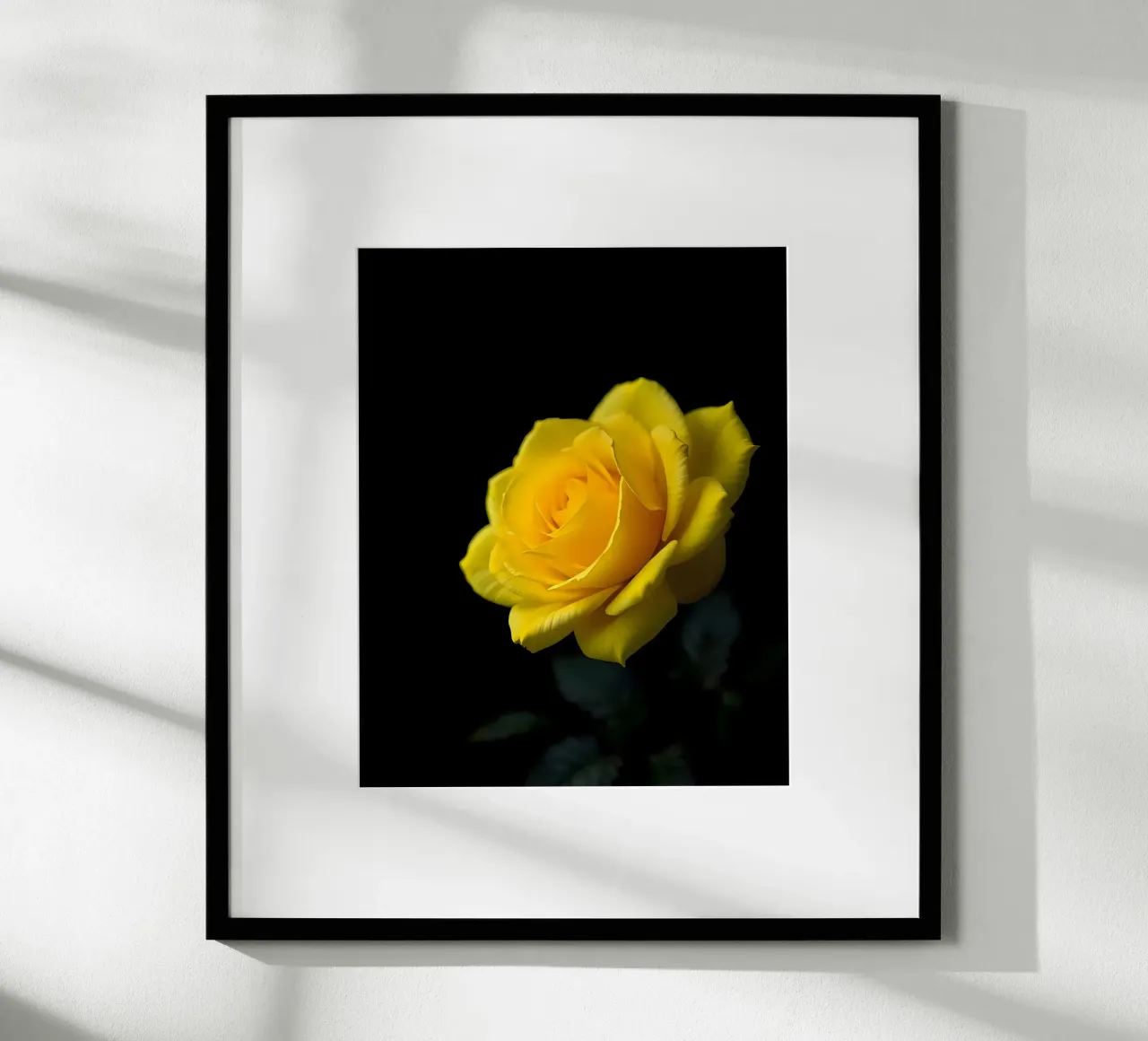 Rosa_gialla_02 carta hahnemühle da Farb- und Blütenzauber by LK