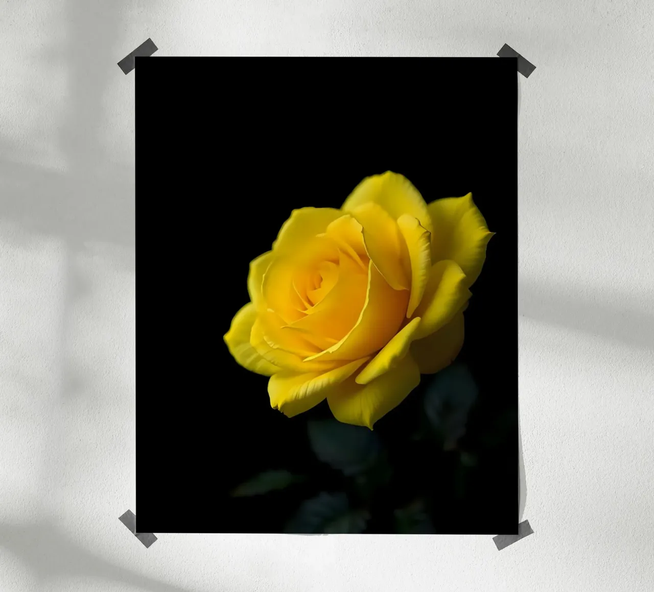 Rosa_gialla_02 carta hahnemühle da Farb- und Blütenzauber by LK