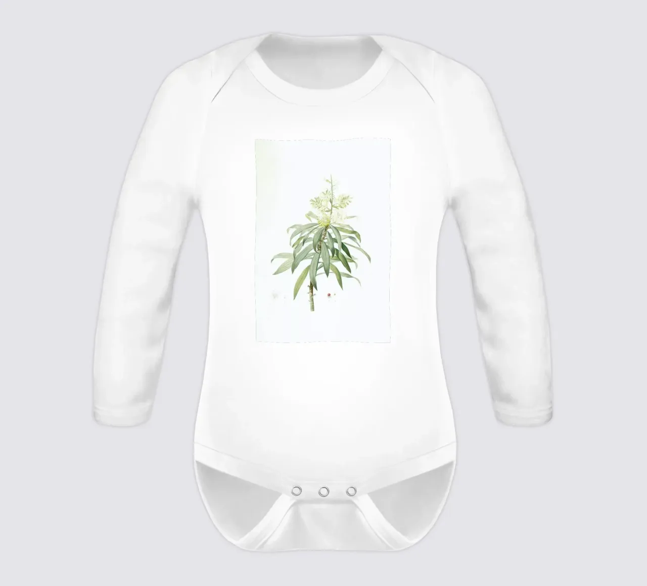 Dracoena reflexa, Song of India, Pleomele or Maylasian draceana, -Pierre Joseph long-sleeve baby romper by Artokoloro Quint Lox Ltd
