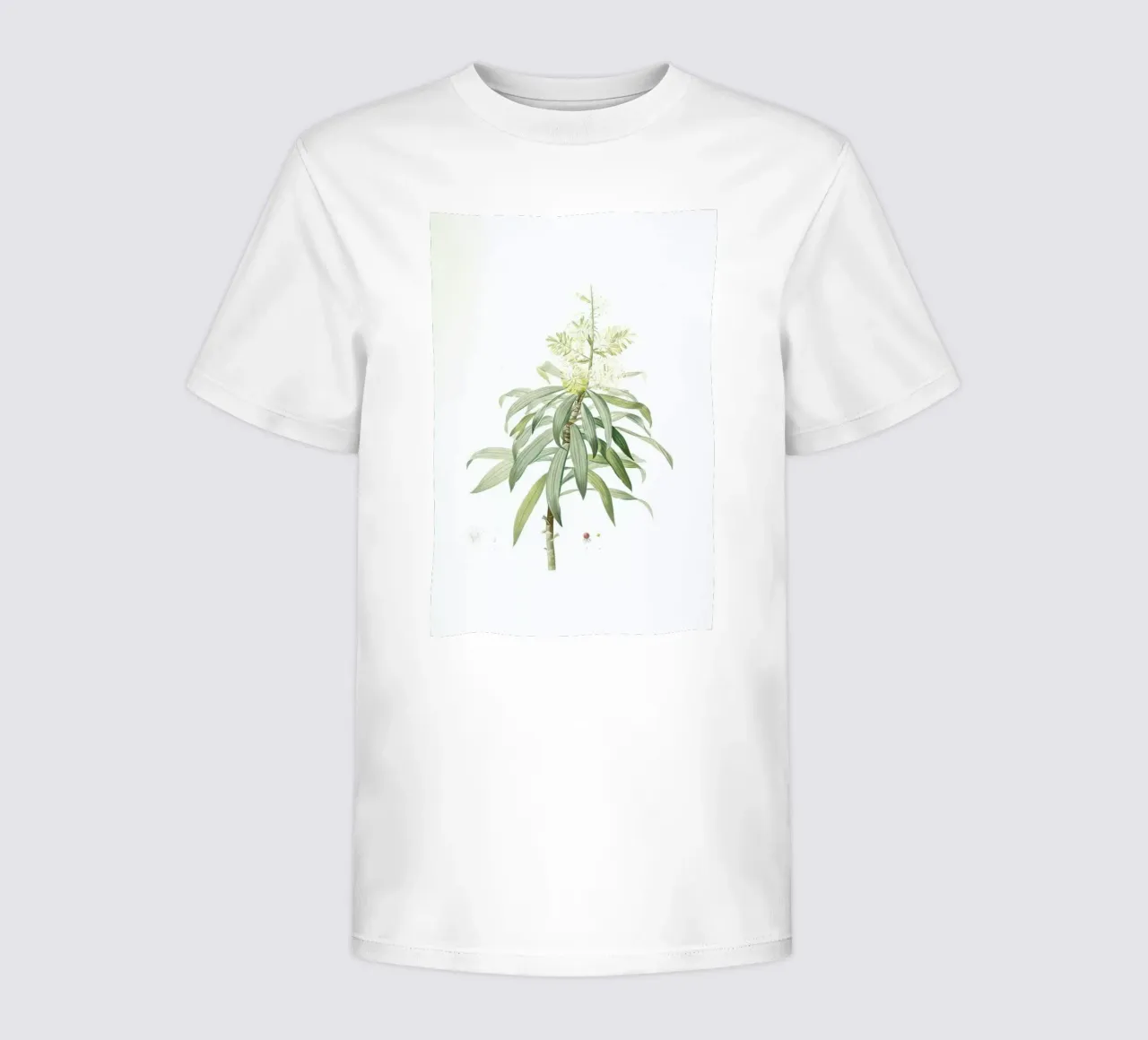 Dracoena reflexa, Song of India, Pleomele or Maylasian draceana, -Pierre Joseph kids t-shirt by Artokoloro Quint Lox Ltd