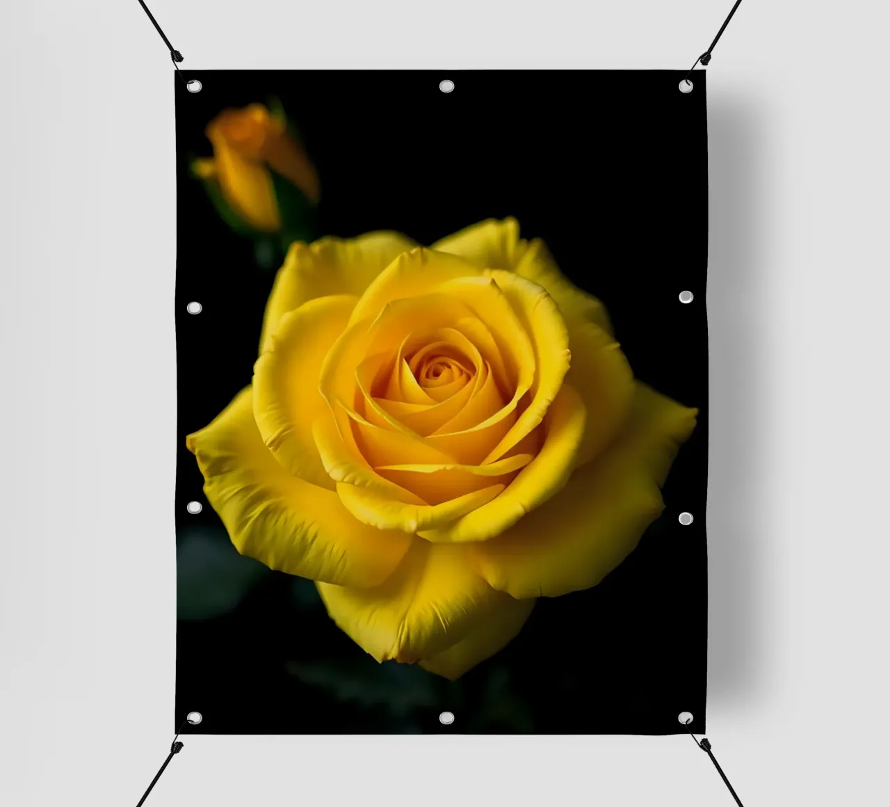 Rosa_gialla_03 telo in pvc da Farb- und Blütenzauber by LK