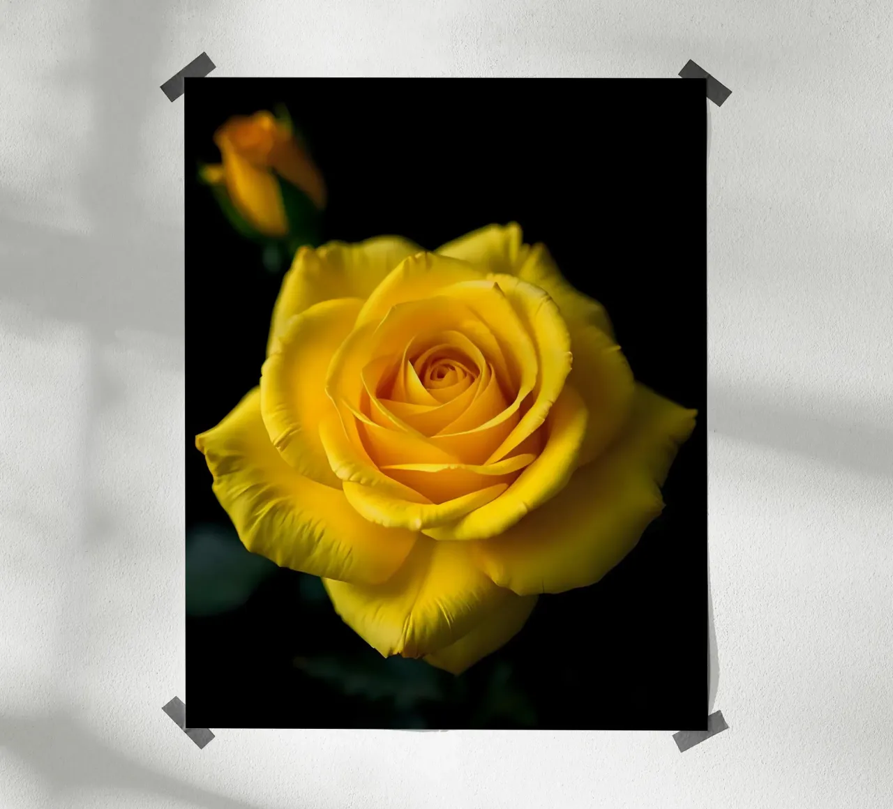 Rosa_gialla_03 carta hahnemühle da Farb- und Blütenzauber by LK