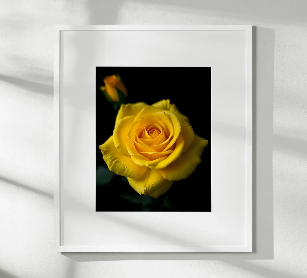 Rosa_gialla_03 carta hahnemühle da Farb- und Blütenzauber by LK
