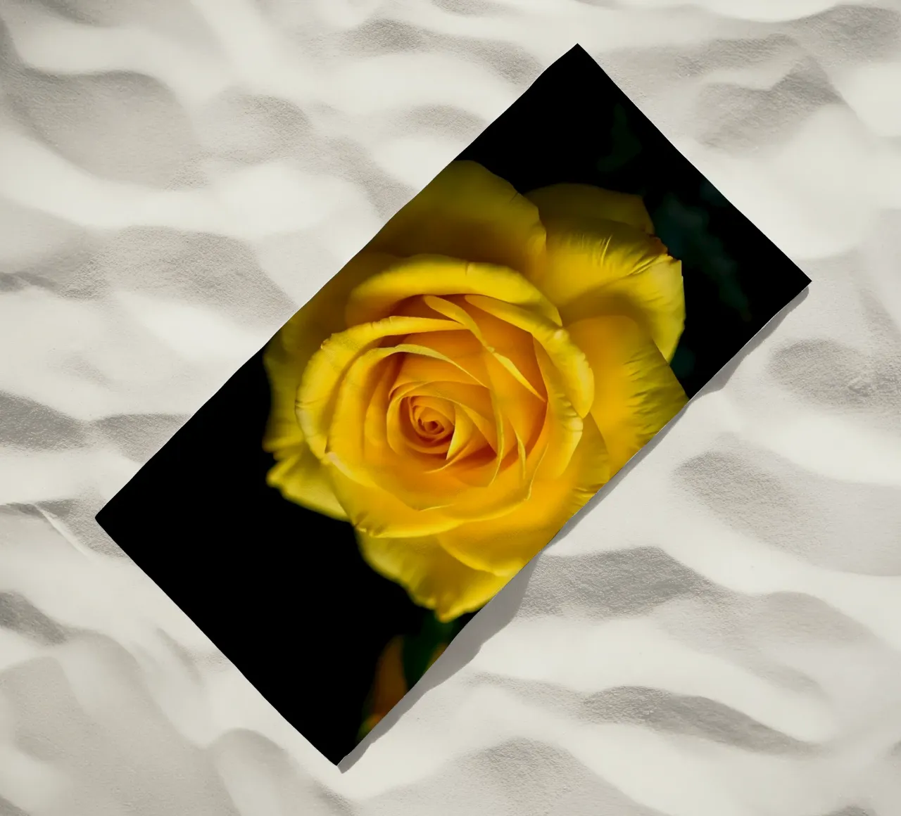 Rosa_gialla_03 telo mare da Farb- und Blütenzauber by LK