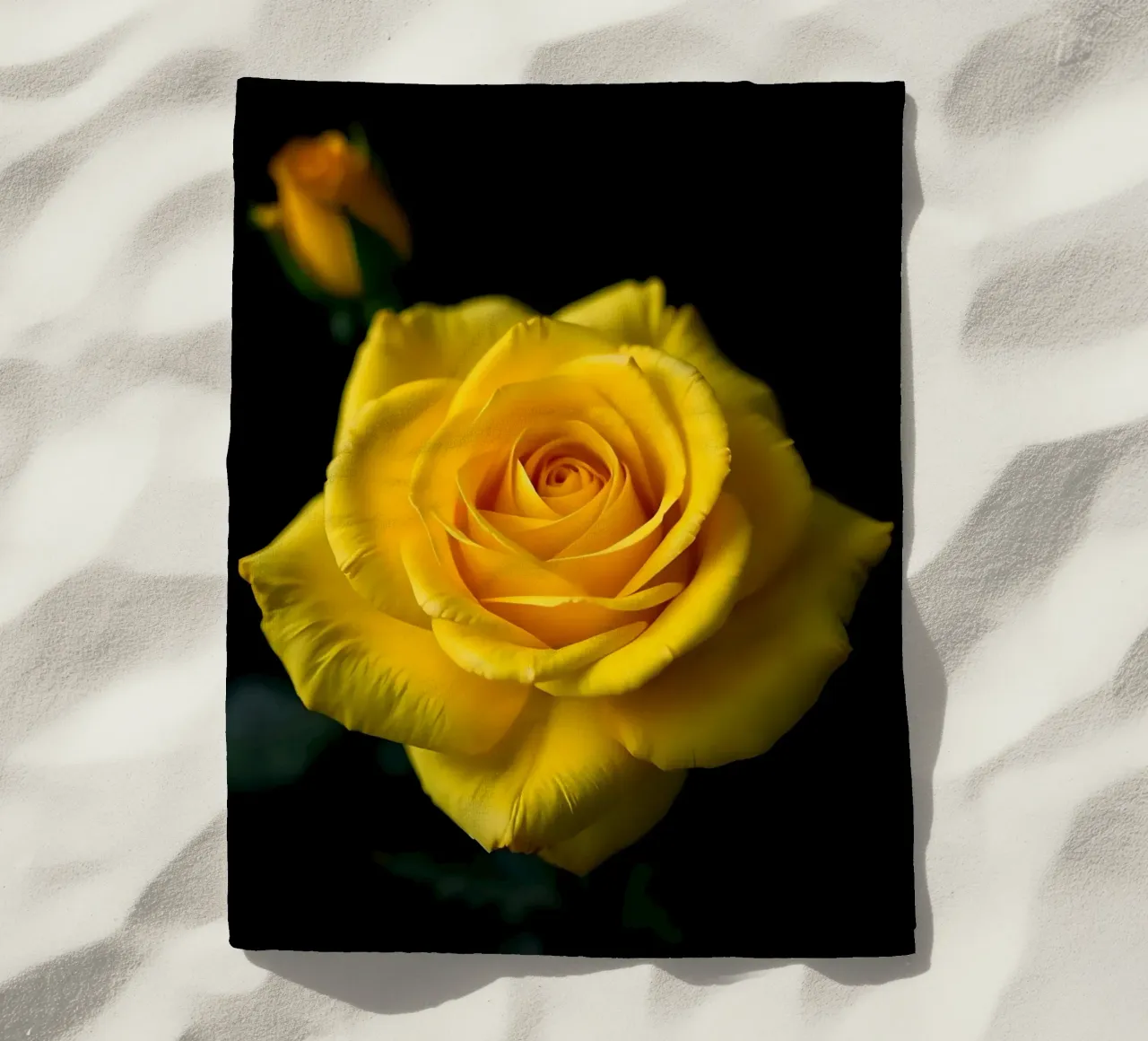 Rosa_gialla_03 telo mare da Farb- und Blütenzauber by LK