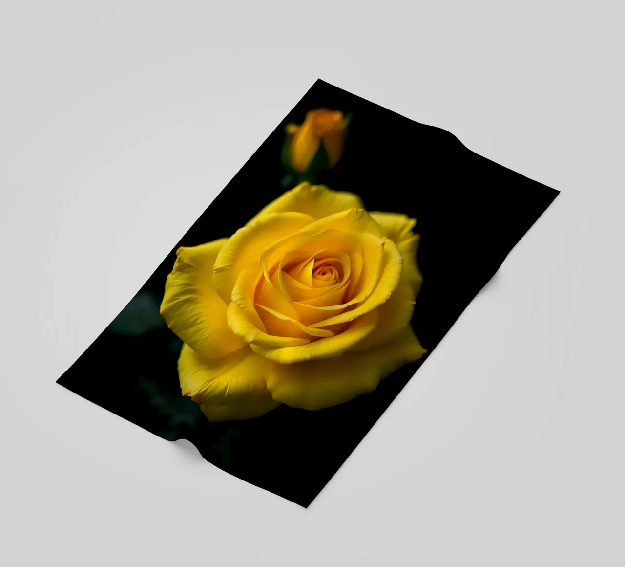 Rosa_gialla_03 telo mare da Farb- und Blütenzauber by LK