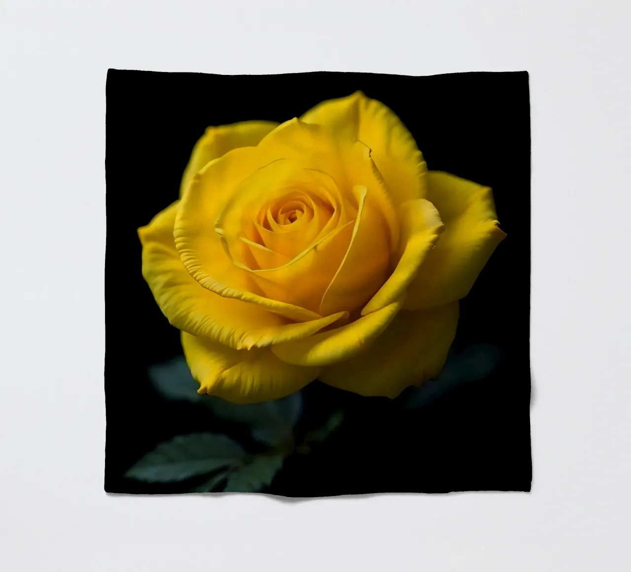 Rosa_gialla_04 coperta in pile da Farb- und Blütenzauber by LK
