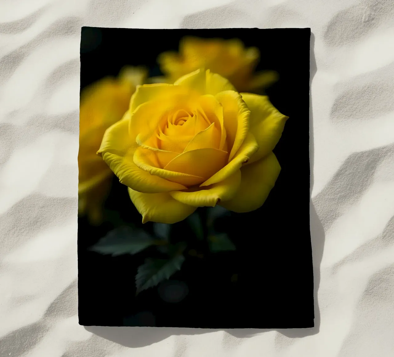 Rosa_gialla_05 telo mare da Farb- und Blütenzauber by LK