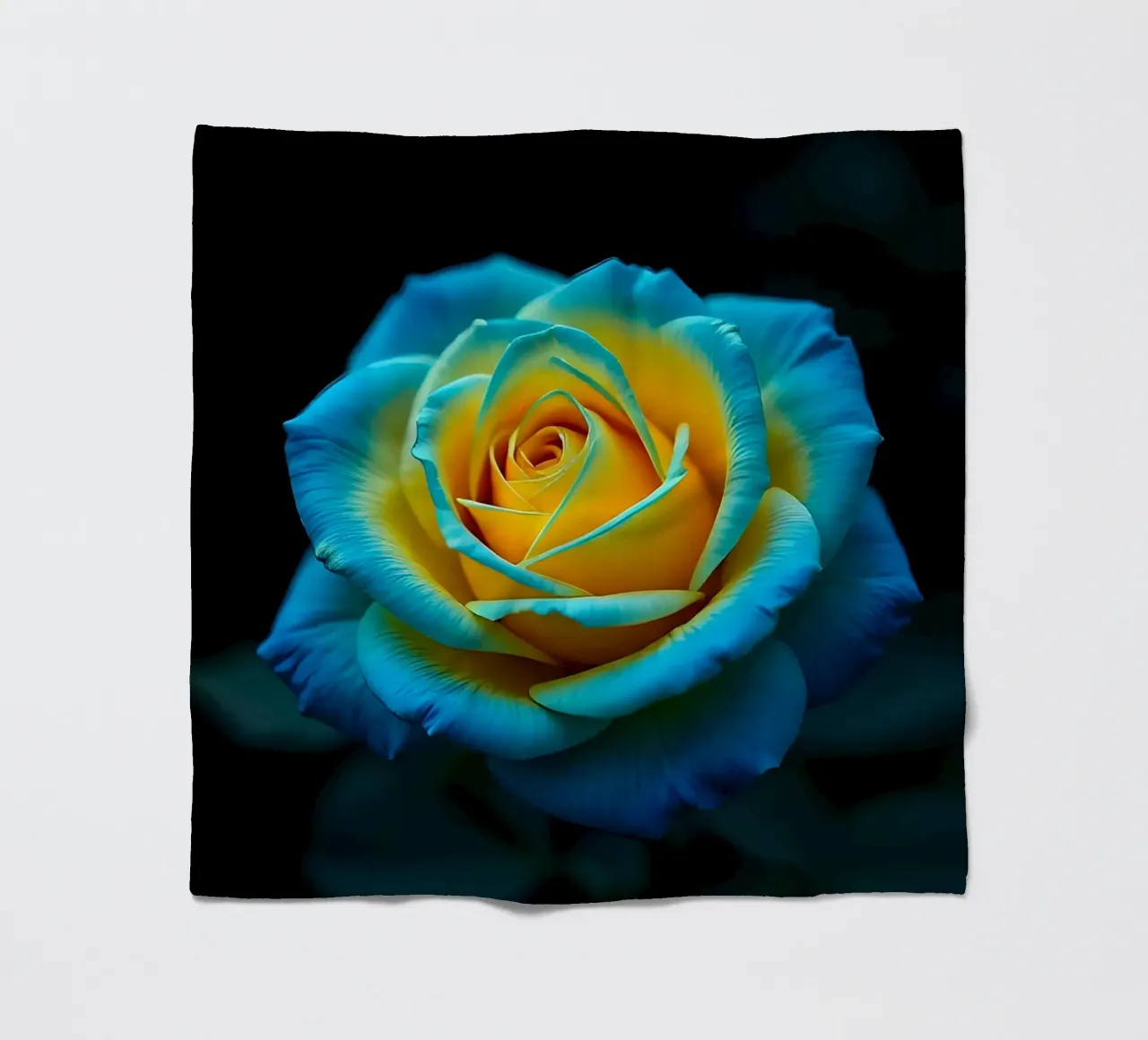 Rosa_giallo_blu_01 coperta in pile da Farb- und Blütenzauber by LK