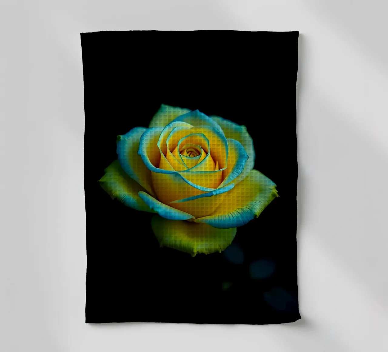 rose_jaune_bleu_02 torchon de Farb- und Blütenzauber by LK