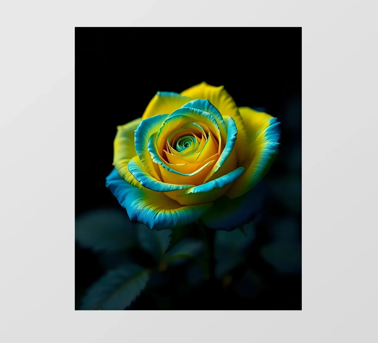 Rosa_giallo_blu_03 telo in pvc da Farb- und Blütenzauber by LK