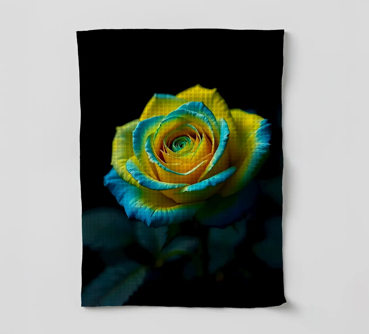 Rose_jaune_bleu_03 torchon de Farb- und Blütenzauber by LK