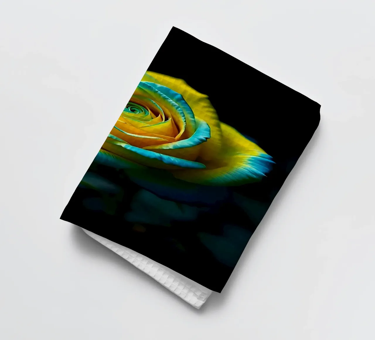 Rose_jaune_bleu_03 torchon de Farb- und Blütenzauber by LK