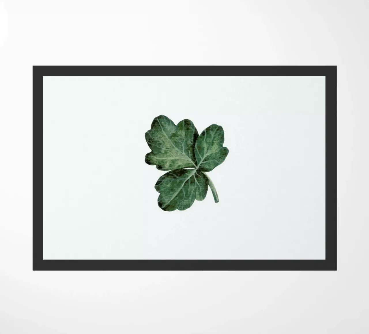 Shamrock zerbino da Maria Vdovichenko