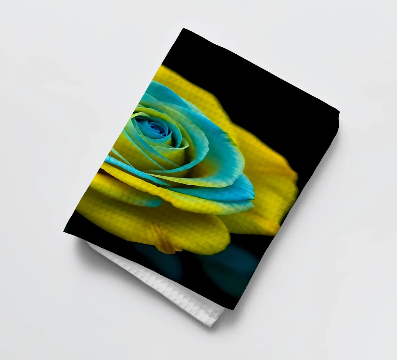 Rose_jaune_bleu_05 torchon de Farb- und Blütenzauber by LK