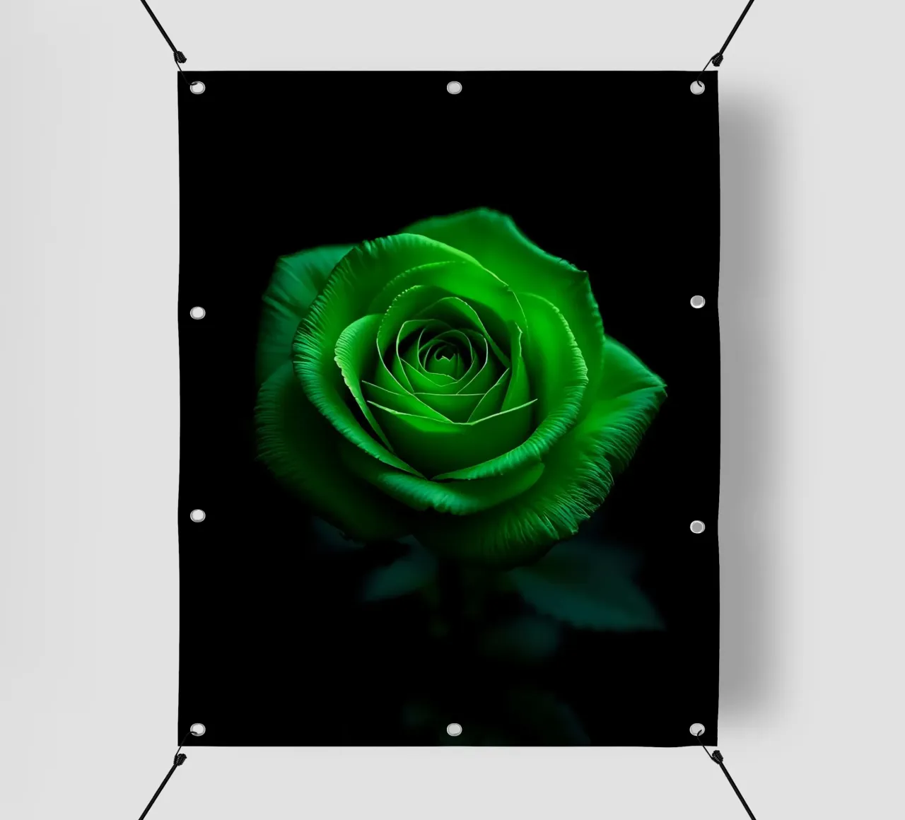 Rosa_verde_01 telo in pvc da Farb- und Blütenzauber by LK