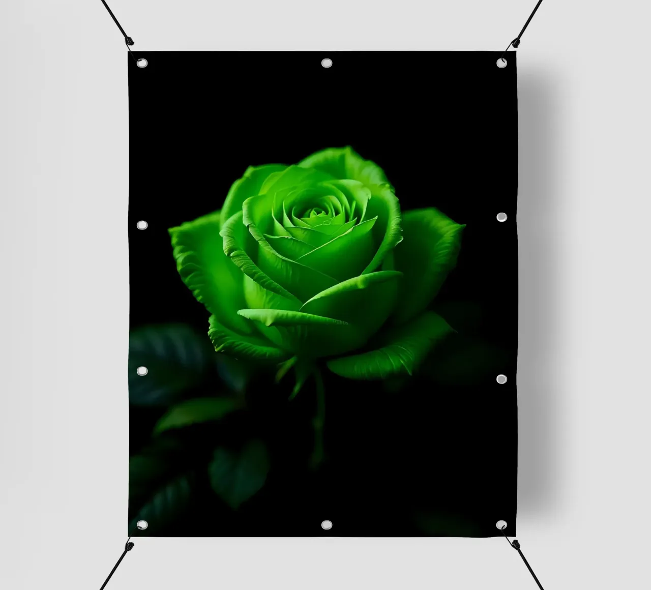 Rosa_verde_02 telo in pvc da Farb- und Blütenzauber by LK