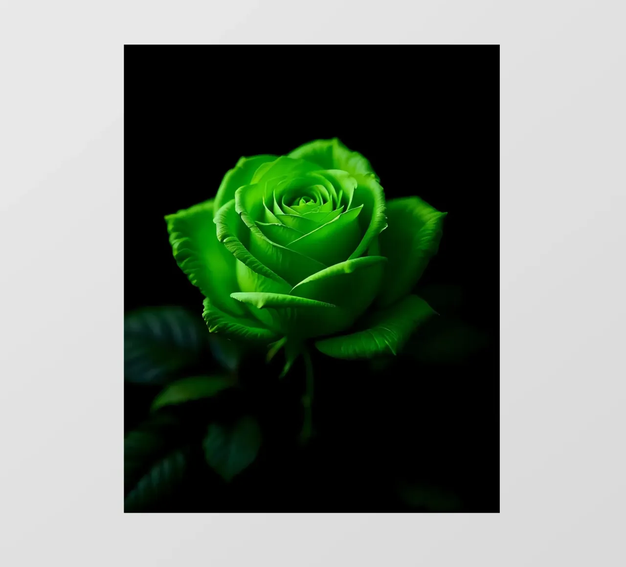 Rosa_verde_02 telo in pvc da Farb- und Blütenzauber by LK