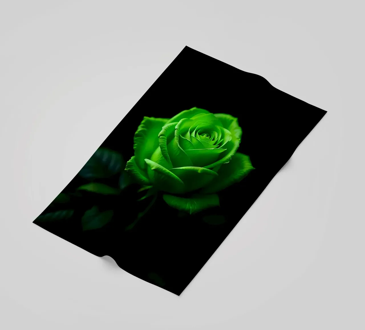 Rosa_verde_02 telo mare da Farb- und Blütenzauber by LK