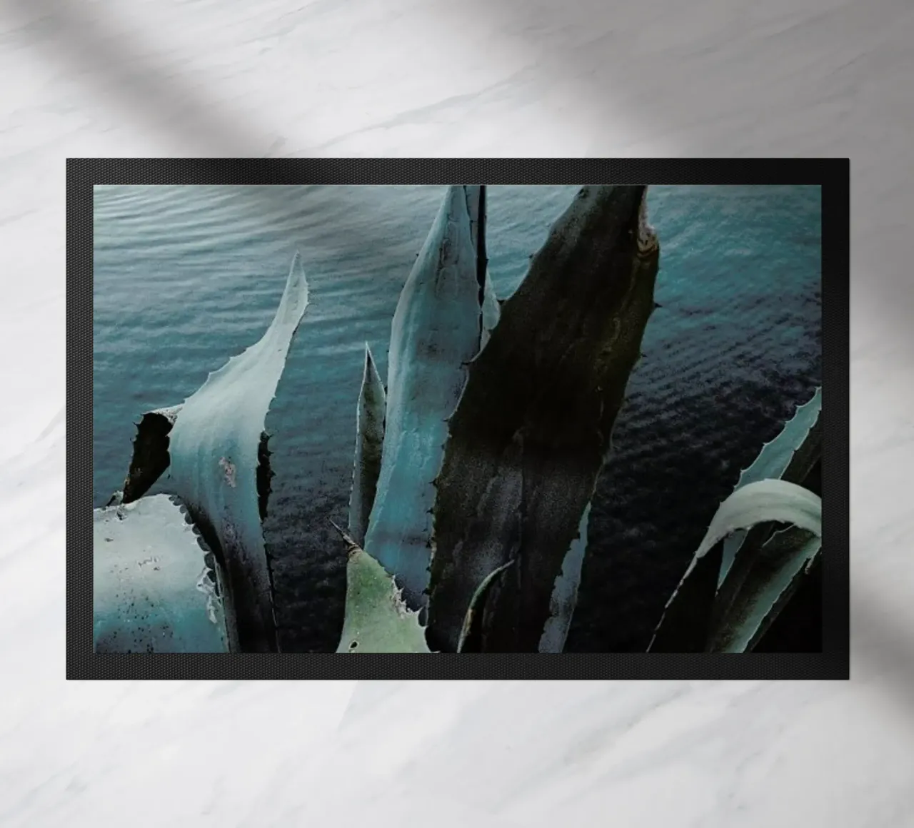 Agava zerbino da Picture On The Fridge