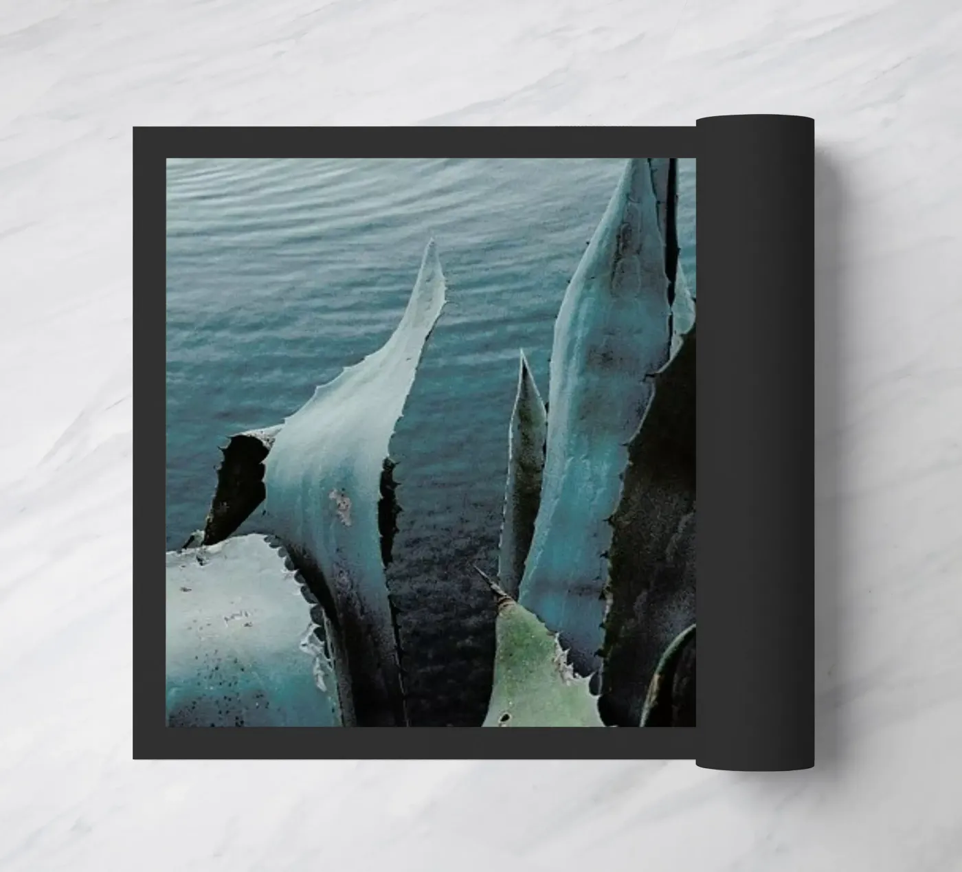 Agava deurmat van Picture On The Fridge