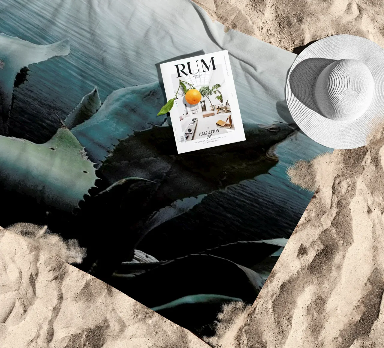 Agava telo mare da Picture On The Fridge