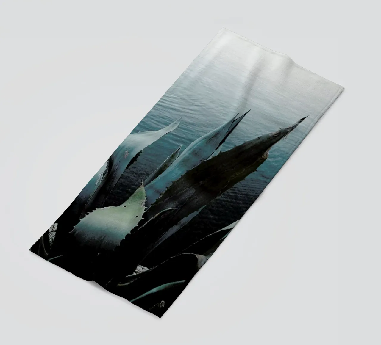 Agava telo mare da Picture On The Fridge