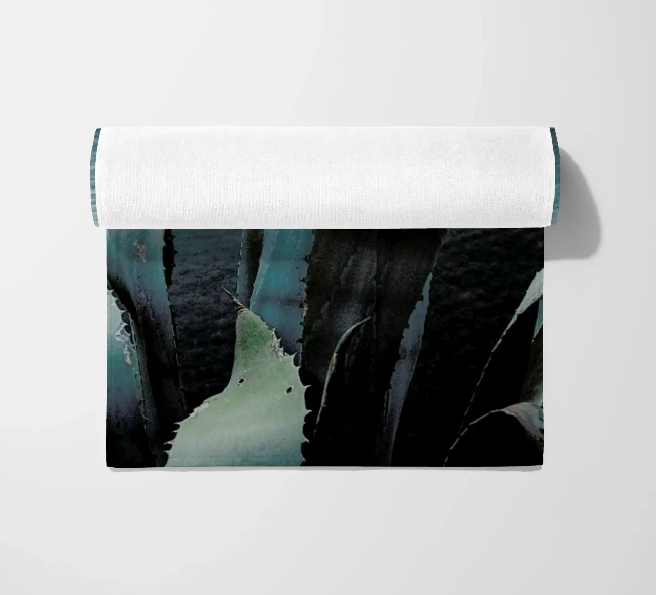 Agava telo mare da Picture On The Fridge