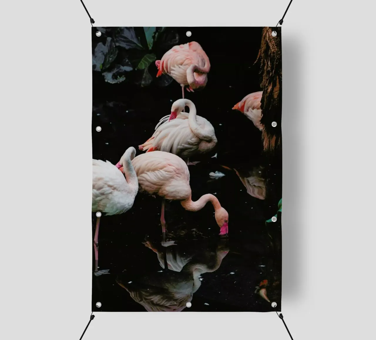Pink Flamingos telo in pvc da EyeEm Mobile GmbH