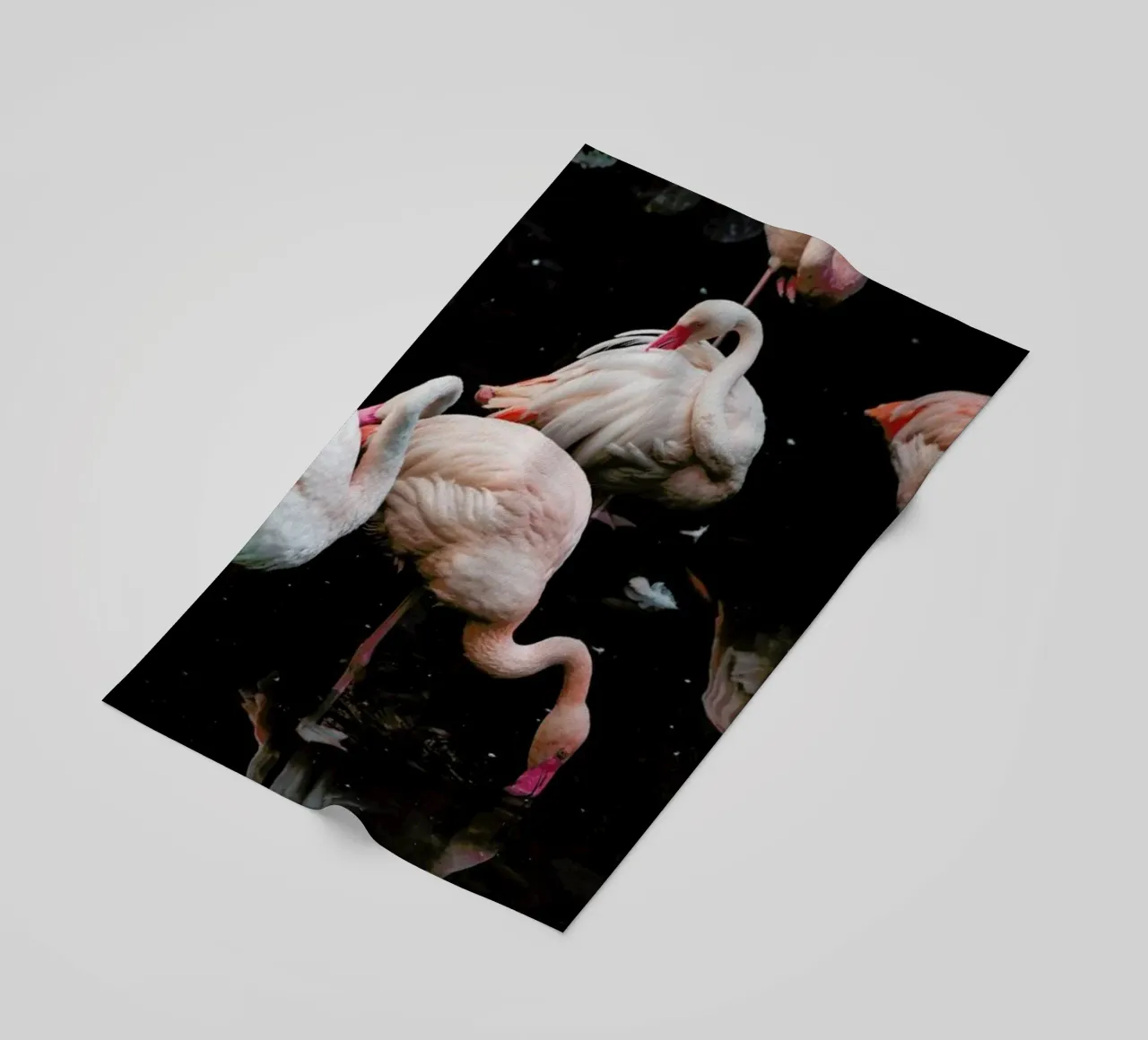Pink Flamingos telo mare da EyeEm Mobile GmbH