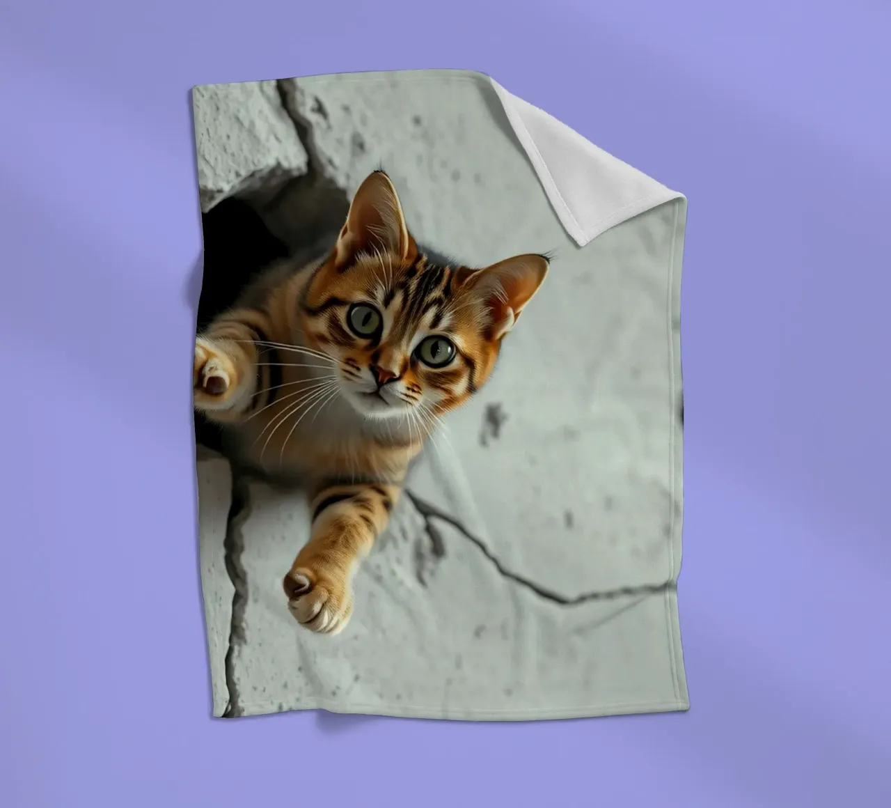 Un gatto curioso fa capolino da una fessura coperta in pile da DesignDoodle