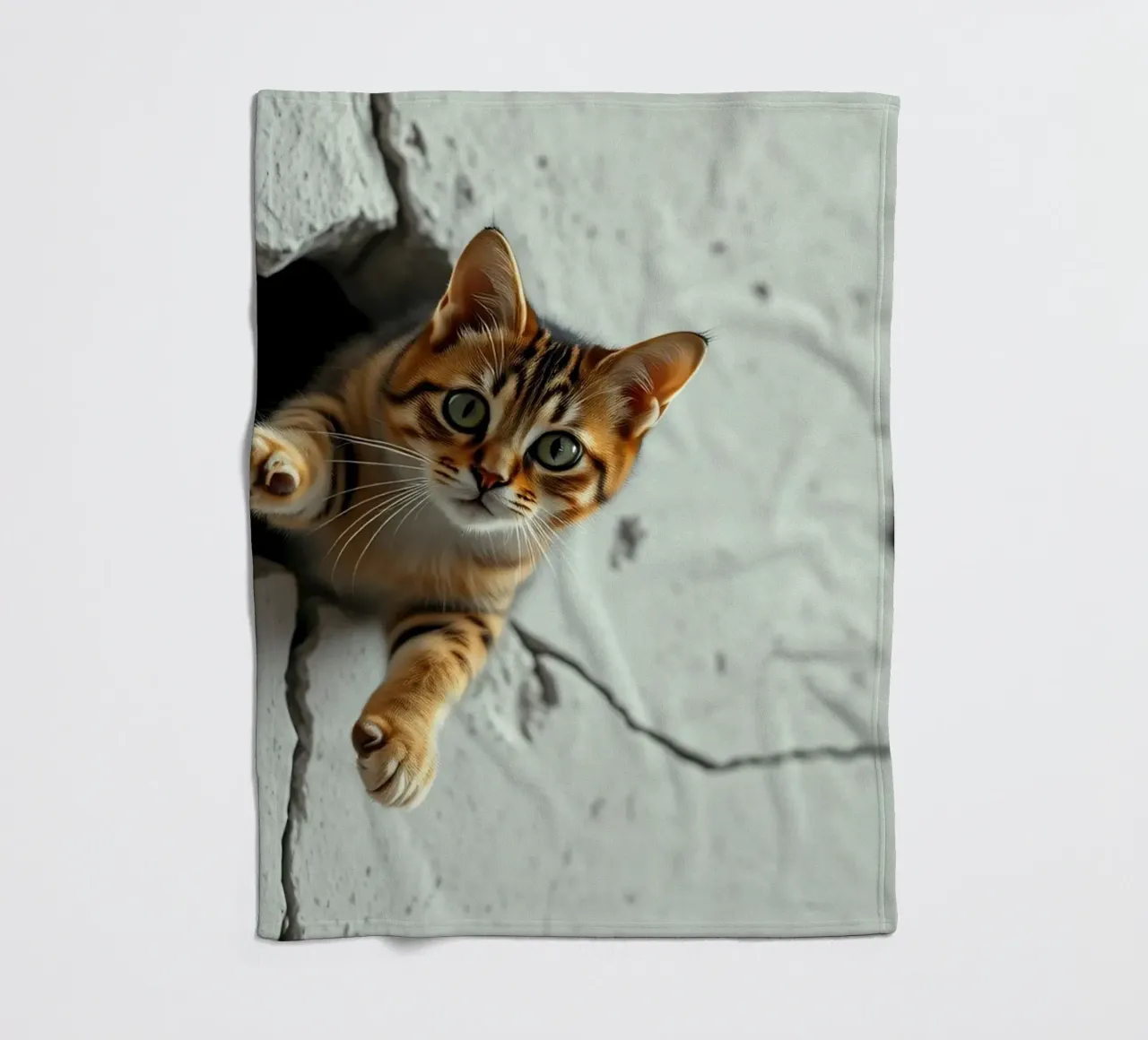 Un gatto curioso fa capolino da una fessura coperta in pile da DesignDoodle