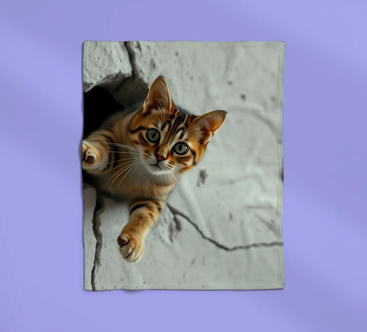 Un gatto curioso fa capolino da una fessura coperta in pile da DesignDoodle