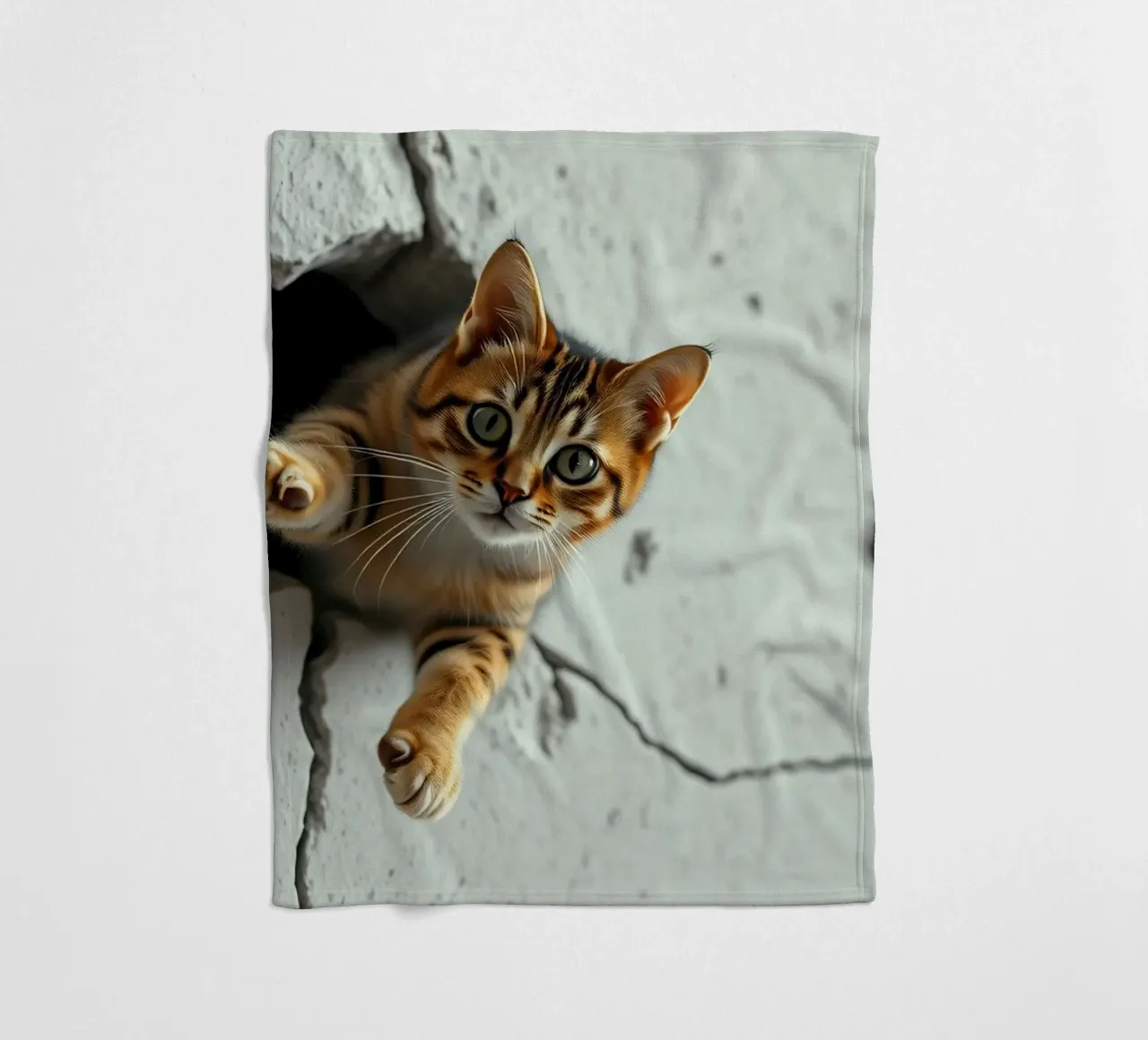 Un gatto curioso fa capolino da una fessura coperta in pile da DesignDoodle